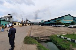 Harga CPO di Jambi tembus Rp10.000 per kilogram