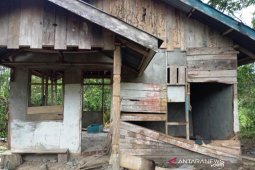 Kebun warga rusak akibat diinjak gajah liar