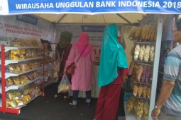 Porsi kredit UMKM di Jambi menurun
