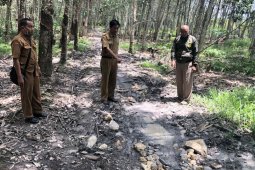 Kadistan Balangan tinjau akses jalan usaha tani yang rusak