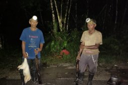 Tim gabungan tangkap perburuan liar di Taman Nasional Manusela