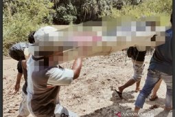 Penambang emas  tewas di "lubang jarum" tambang illegal di Merangin
