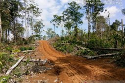 Mukomuko putuskan akses utama menuju kawasan hutan