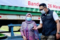 DPRD Jabar dorong kajian terkait perluasan kawasan penghasil teh