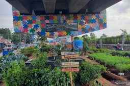 "Urban Farming" tak sekedar manfaatkan  lahan kosong