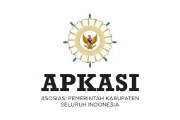 District heads play crucial role in economic recovery efforts: Jokowi