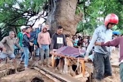 Banjir Flores, warga bangun jembatan darurat evakuasi korban