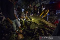 Dinding Bangunan Di Kawasan Pasar Ujung Murung