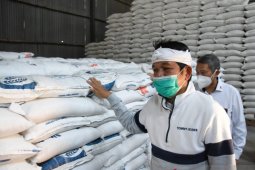 DPR minta pemerintah jamin ketersediaan pupuk jelang musim tanam