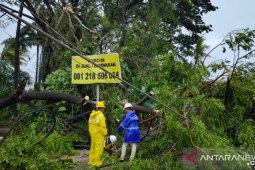 10 persen suplai listrik rumah tangga telah pulih di NTT