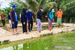 DPMPD Kaltim apresiasi pembenihan ikan di Kutim