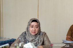 Legislator : UMKM pilar penting sektor ekonomi daerah