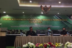 Disbun Kalbar perkuat kerja sama dengan pelaku usaha pembenihan