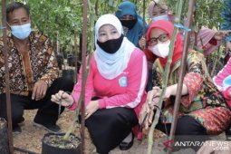 Kaltim miliki puluhan  Pusat Pelatihan Pertanian dan Pedesaan Swadaya
