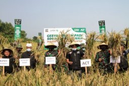 Pemprov Jatim perkirakan produksi padi capai 12,7 Juta ton pada 2025