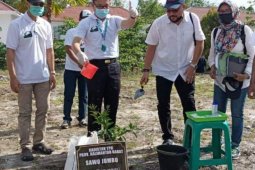 Kalbar apresiasi gerakan tanam serentak Pemda KKU untuk motivasi petani