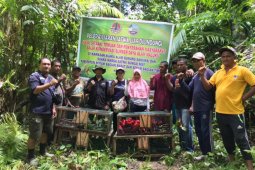 BKSDA lepaskan ratusan satwa liar endemik Maluku