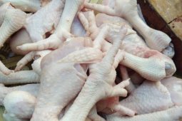 Jelang Ramadan, harga daging ayam di Mesuji naik