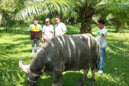 Jelang Ramadhan Bupati Tapteng tingkatkan pengawasan dan peredaran PAH