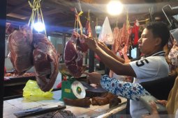 Jelang Ramadan harga daging sapi di Pontianak stabil