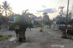 Kecewa tidak diaspal, warga Nagan Raya tanam pisang di badan jalan