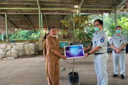Hijaukan Kota Serang, Jasa Raharja Banten bantu 100 pohon produktif