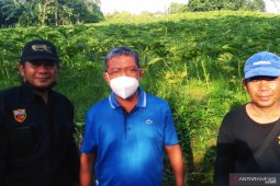 Penyaluran Dana Desa Kaltim mencapai Rp122,52 miliar