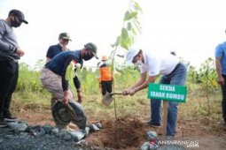 Tanah Bumbu plants 5,000 trees in Gunung Tinggi