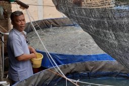 Mukomuko beli sarana perikanan untuk pokdakan
