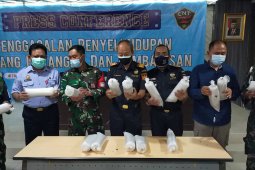 Bea Cukai Juanda gagalkan pengiriman ribuan benih lobster