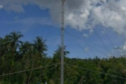 Kisah mereka yang bertaruh nyawa pulihkan aliran listrik