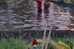 Warga Denpasar adakan Tradisi Mecandu saat Umanis Galungan