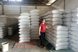 DPRD Gorontalo Utara minta pemda seriusi keluhan petani karena beras sulit terjual