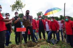 Bupati Kapuas Hulu dukung gerakan menanam pohon PDI Perjuangan