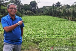 Penyaluran dana desa Kaltim 4,4 persen atau Rp135,26 miliar