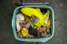 Kampanye Makan Tanpa Sisa, sampah makanan  berkurang 20 ton tahun ini