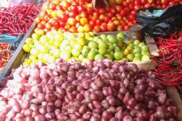 Harga bawang di pasar Ambon turun