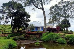PTPN VI  manfatkan aset jadi penginapan, cafe dan agro wisata
