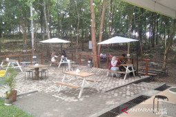 Minum kopi sekaligus  melihat satwa di Ruang Hijau coffee shop