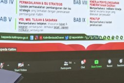 Hasil Pembahasan Pra Musrenbang Input Penyempurnaan Perubahan RPJMD