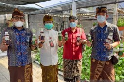 Peringati Hari Kartini, PLN UID Bali salurkan bantuan Kelompok Wanita Tani Permata Nusa Dua