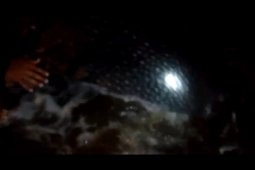 Seekor ikan paus seberat satu ton terdampar di Pantai Bayem Tulungagung