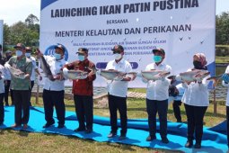 Menteri Kelautan dan Perikanan harapkan Jambi miliki kampung perikanan