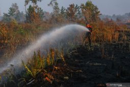 BPBD Sukamara perlu penambahan sarpras dan SDM penanganan karhutla