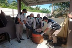 Tanah Bumbu's Agriculture destroys undocumented horse meat