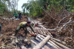 BBKSDA Riau musnahkan ratusan kayu pembalakan liar