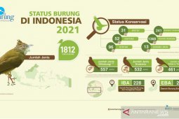 Jenis burung di Indonesia  bertambah 18