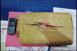 Polisi gagalkan upaya pengiriman 30 kg ganja di Pelabuhan Tanjungkalian