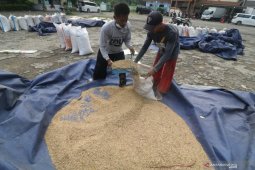 Subsidi Harga Gabah bagi Petani