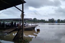 Haris kagett ada lumba-lumba berenang di empang miliknya
